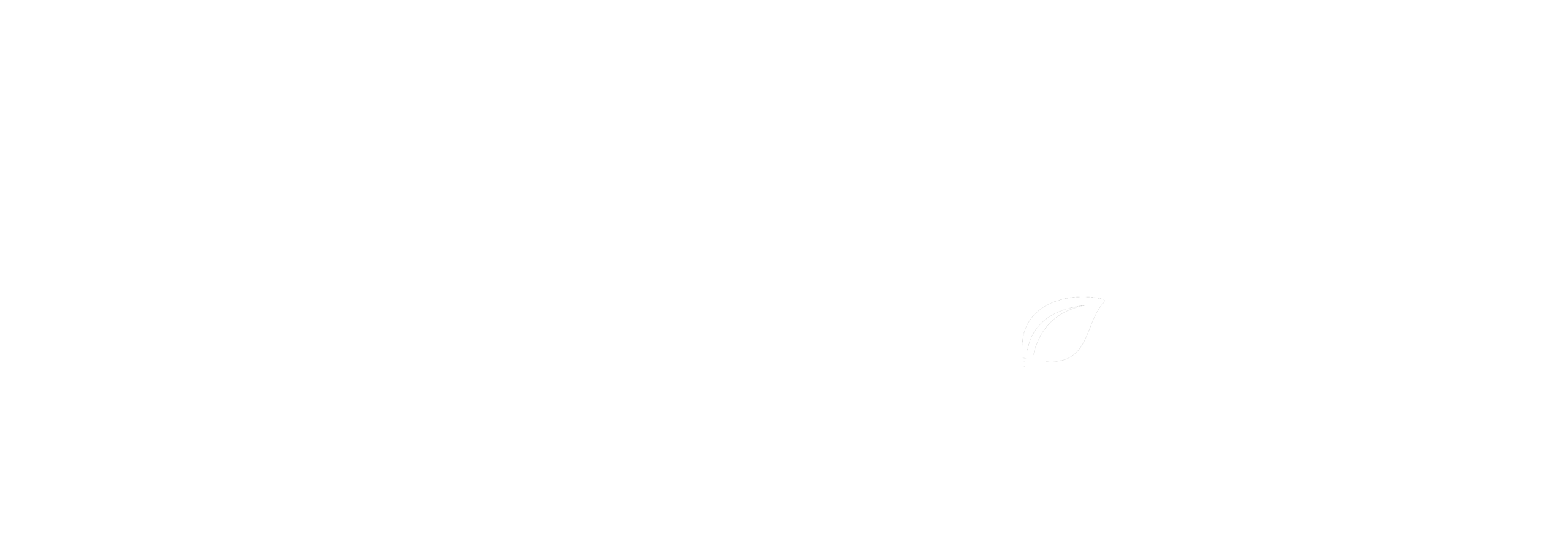 Fenestrate white with sliogan